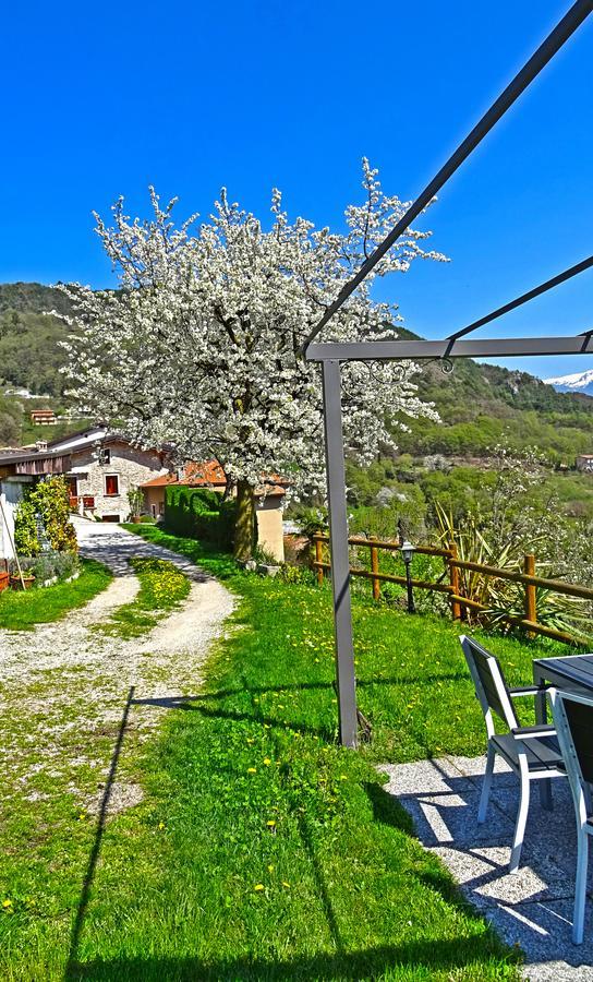 Casa Belvedere Garden By Gardadomusmea Tremosine Εξωτερικό φωτογραφία
